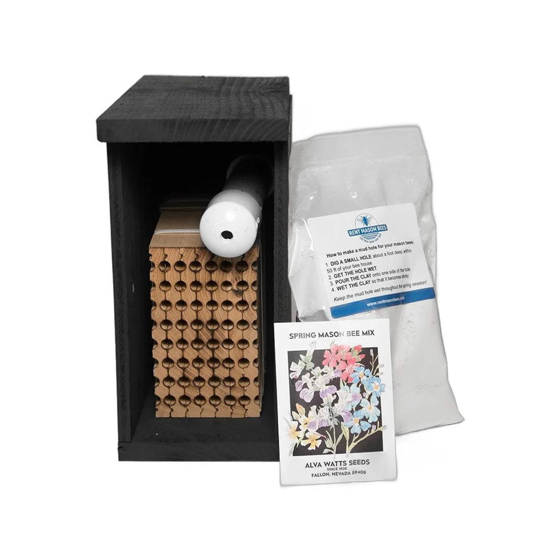 Mason Bee Starter Kit with black house, nesting block, clay, and spring mix